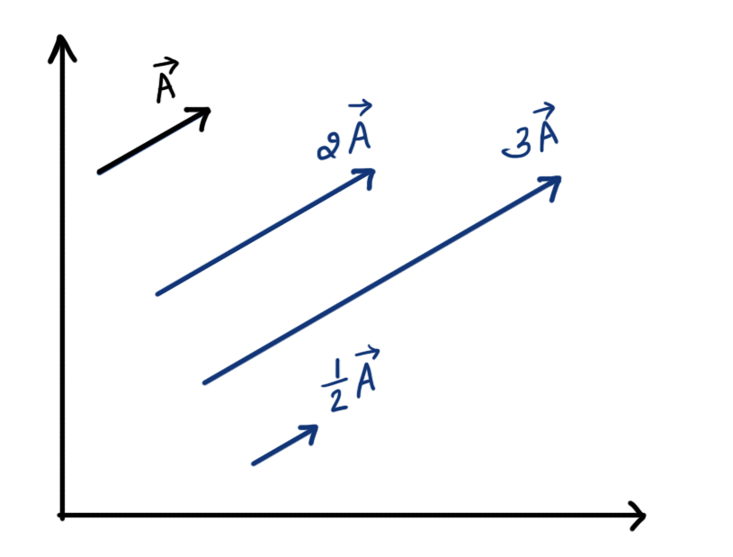 Multiplication of vector with a number