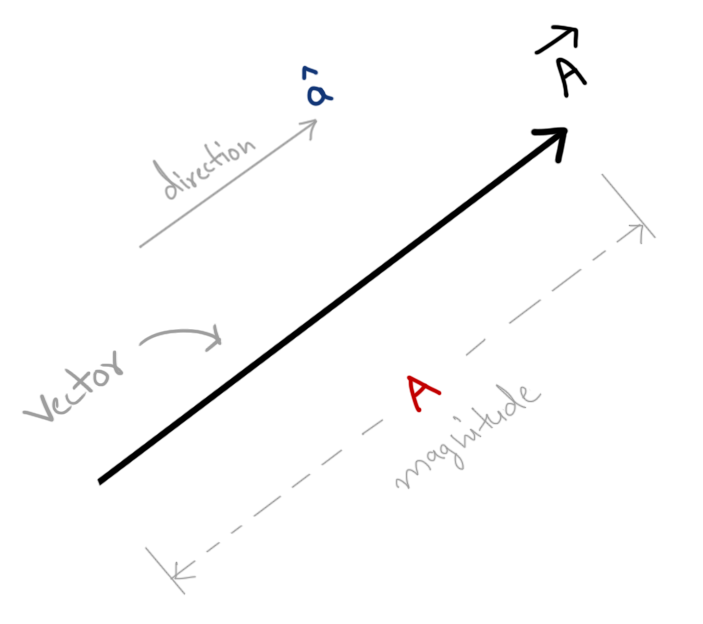 Graphical representation of a vector